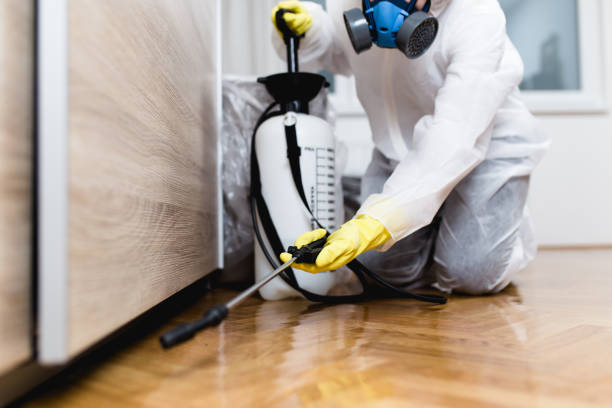 Best Rat Extermination Near Me  in Park Ridge, IL