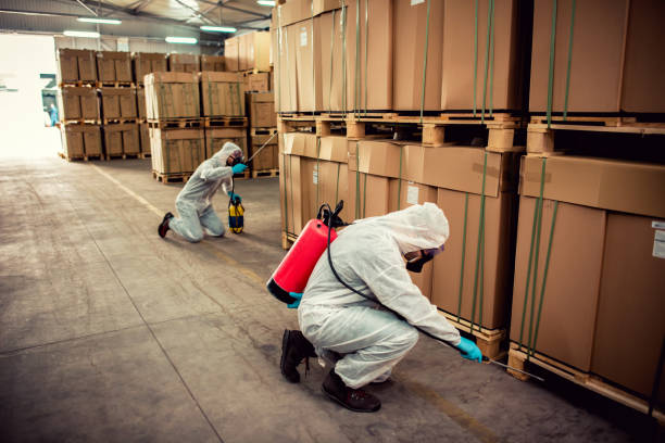 Best Termite Control Services  in Park Ridge, IL