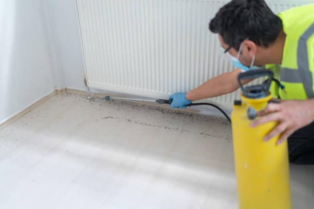 Best Wasp Removal Services  in Park Ridge, IL