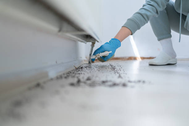 Professional Pest Control in Park Ridge, IL